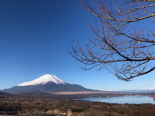 山岡産輸ニュース・ブログ画像