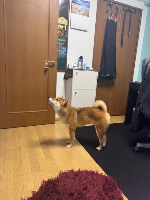 山岡産輸ニュース・ブログ画像
