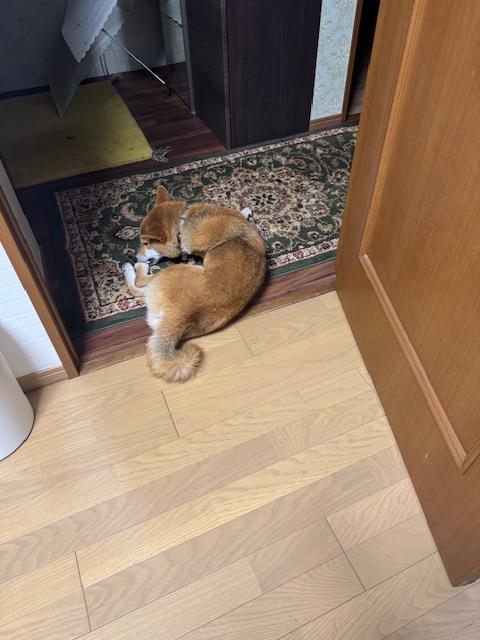 山岡産輸ニュース・ブログ画像