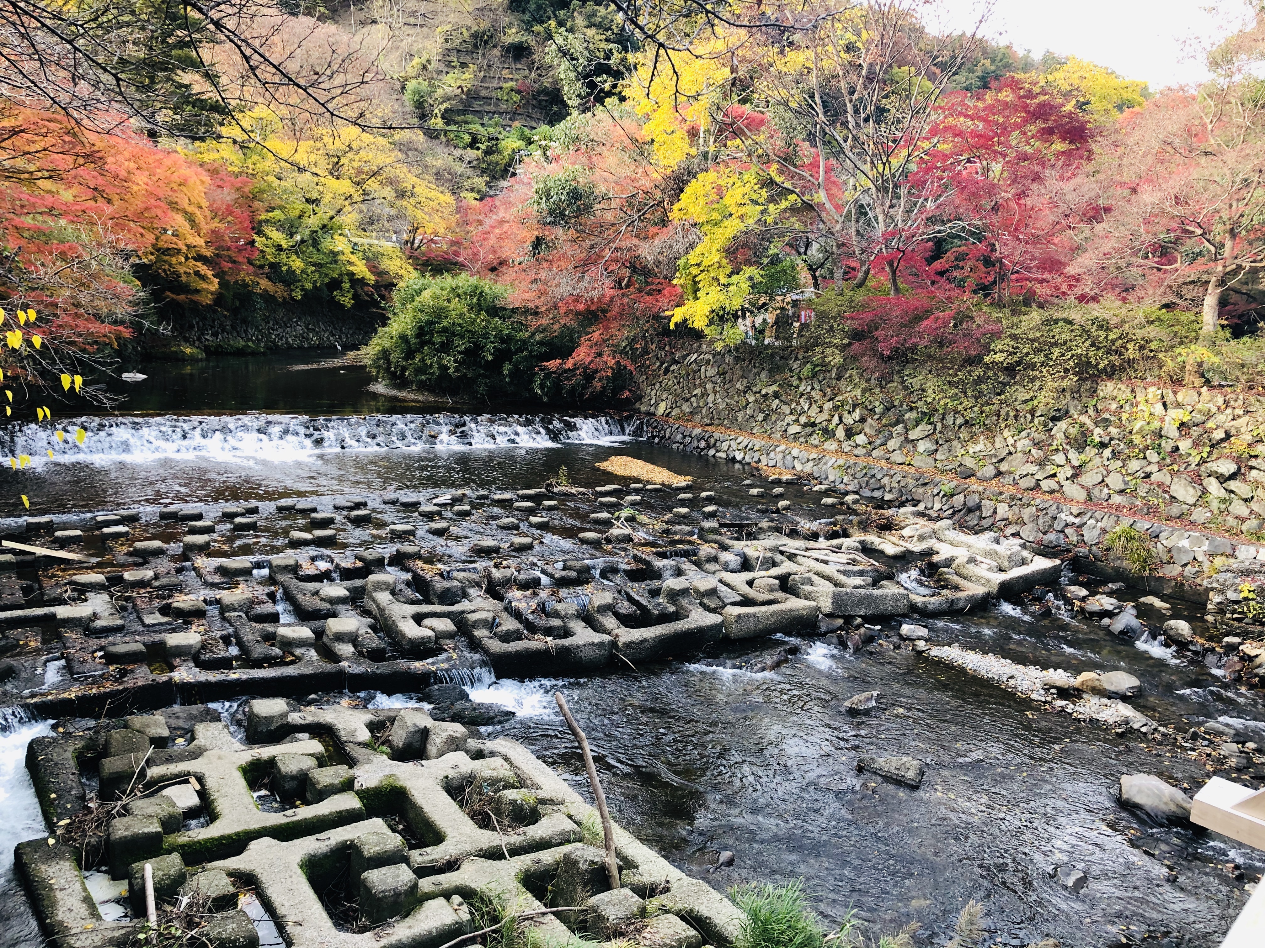 山岡産輸ニュース・ブログ画像