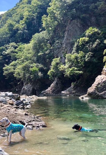山岡産輸ニュース・ブログ画像
