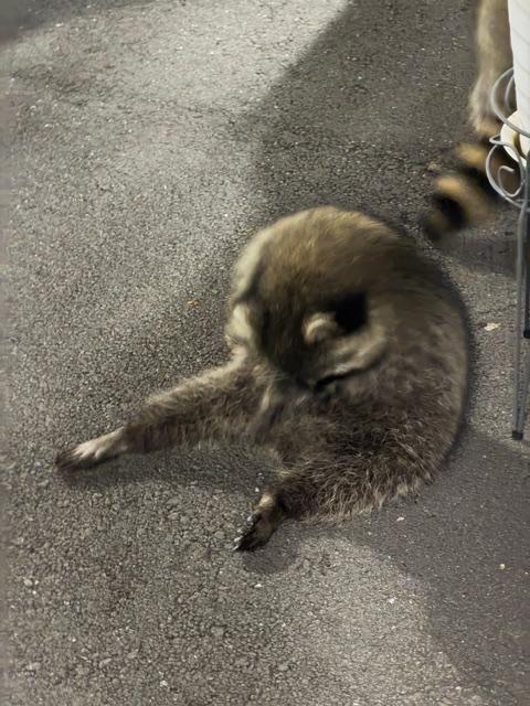 山岡産輸ニュース・ブログ画像