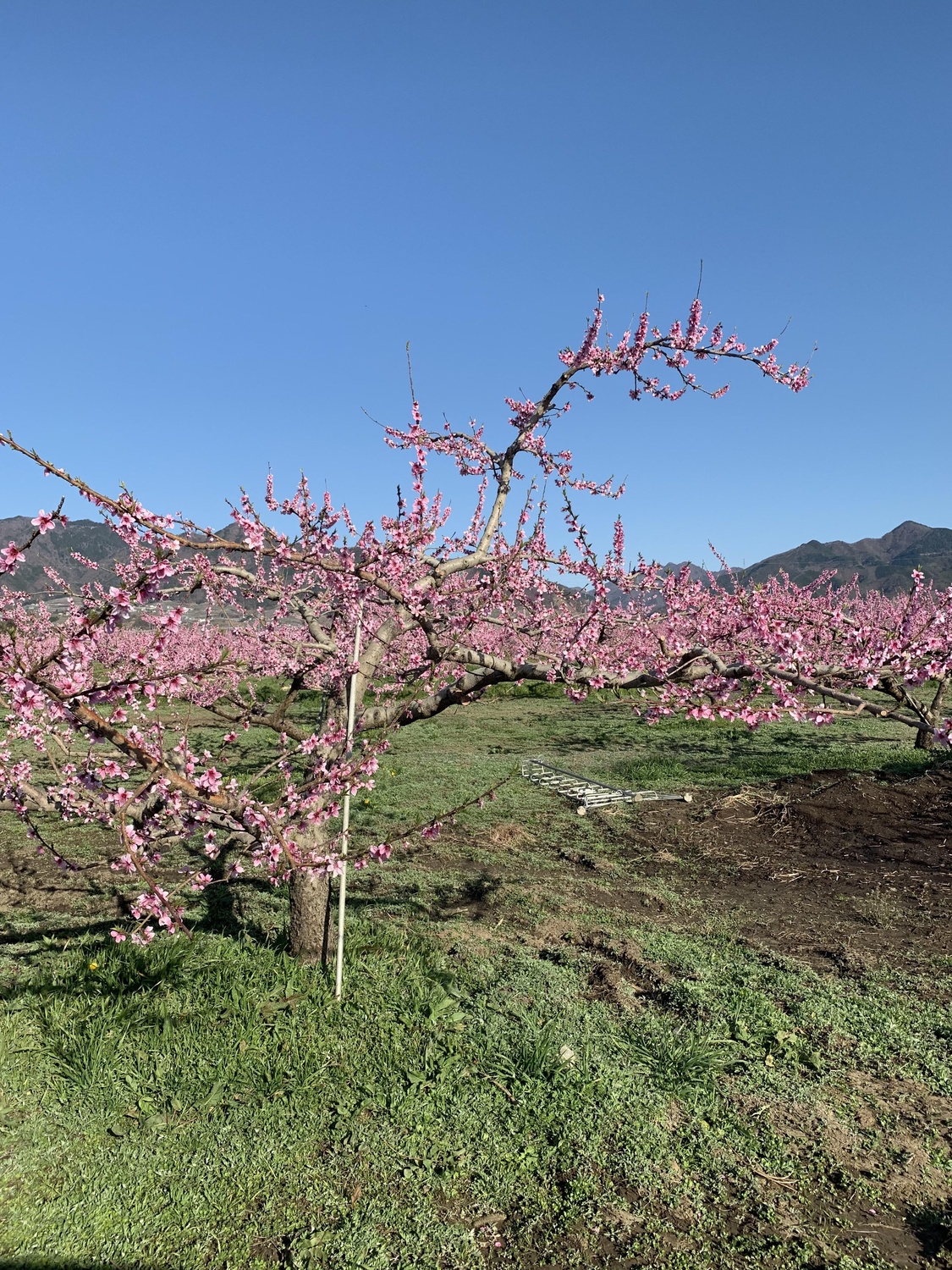 山岡産輸ニュース・ブログ画像