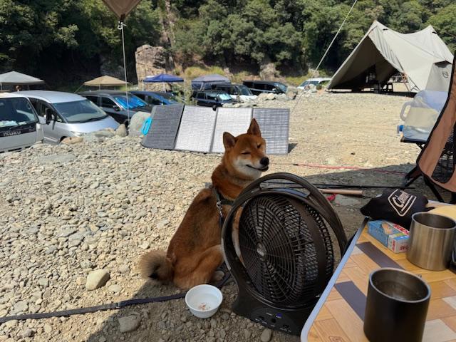山岡産輸ニュース・ブログ画像